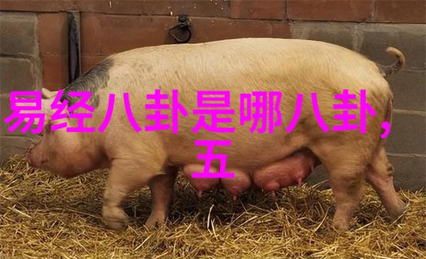 图片查找系统技术进步背后的故事是什么