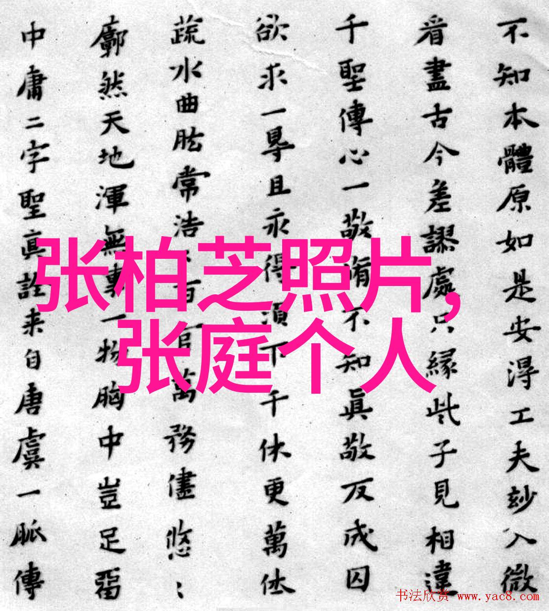 小电影奇遇微电影艺术的探索