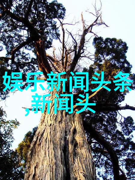 娱乐场所管理条例-夜生活之舵深入解读娱乐场所管理条例的新变化