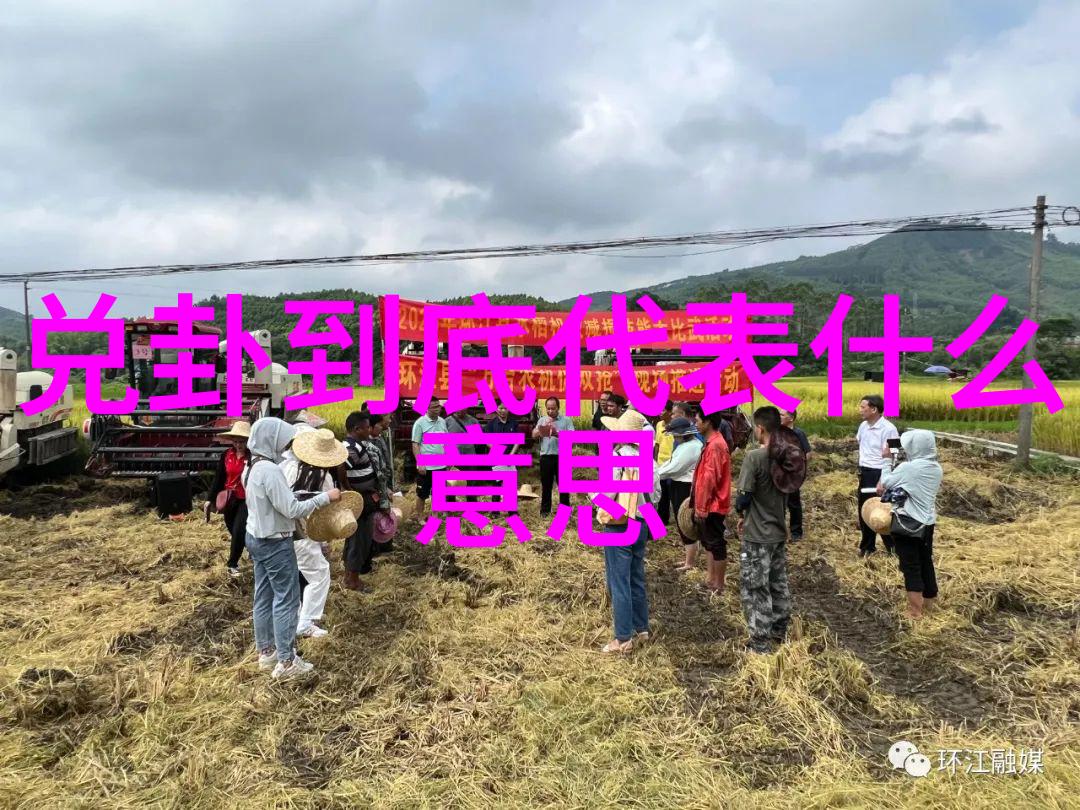 家有儿女新传家庭温馨的电视剧故事再现