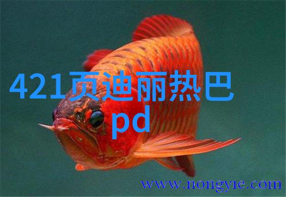上海人看了这辆巴士秒变超级玩家好看流行的图片大全让他们嗨翻天