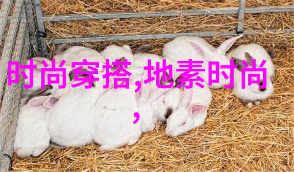 湖南跨年倒计时3天娱乐天空中人物阵容组搭猜测持续进行创意无限发挥