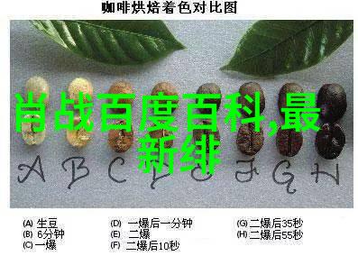 韩国电影协会如同播撒春天的种子将于3月17日至25日在上海这片沃土举办一场盛大的韩国电影节问世间这份