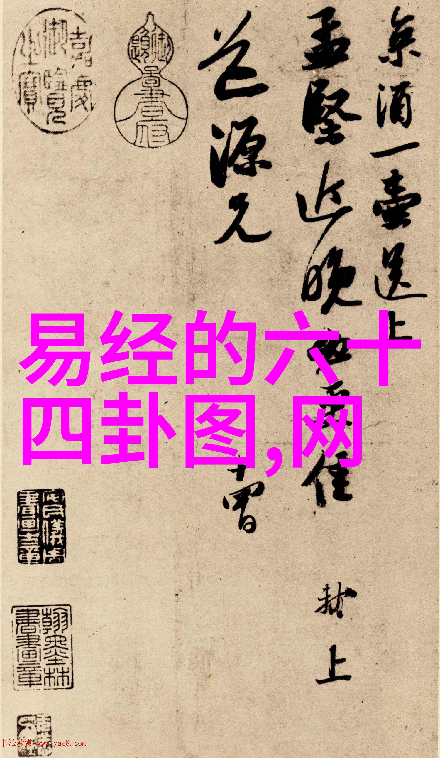 温泉屋小老板娘口碑反复升温想看的你不止一人新海诚力荐这部动画电影将是你心仪的首选