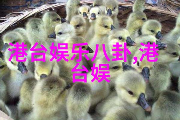 明星拍戏一天睡几个小时背后的秘密究竟是什么