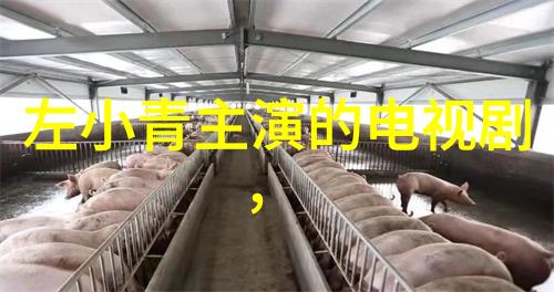 汪峰连续五次抢头条遭遇挫折媒体争夺战中的输家与赢家