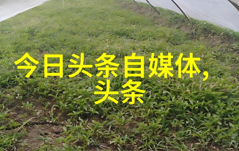 陶虹从张庭公司分红4亿引争议官方警告她将面临追查先天八卦图与后天八卦图区别昭然若揭