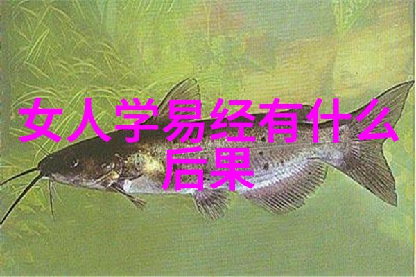农村网红排行榜前十名 - 乡土魅力揭秘农村网红新宠的崛起