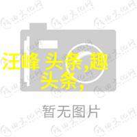 未来的超级大陆龙脊之巅的新纪元