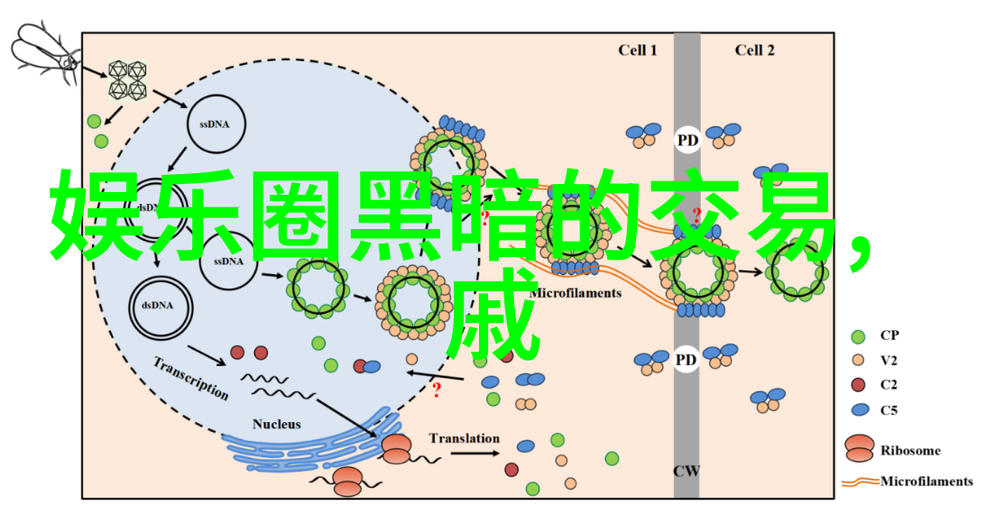 纯音乐大全100首-探索音韵纯音乐大全100首深度解析
