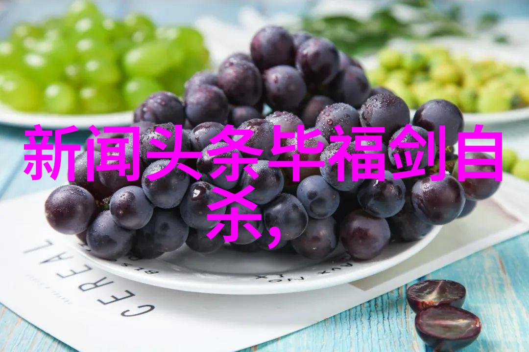新西游记综艺穿越时空探秘未知