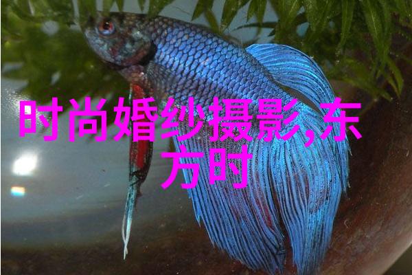 心灵画卷抒情瞬间的诗意展开