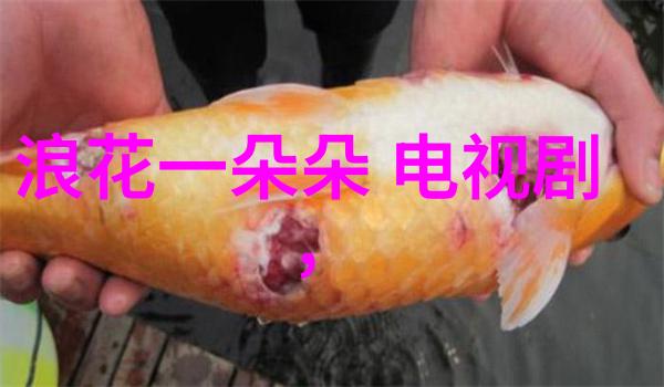从小鲜肉到综艺巨擘娱乐圈的逆袭之旅