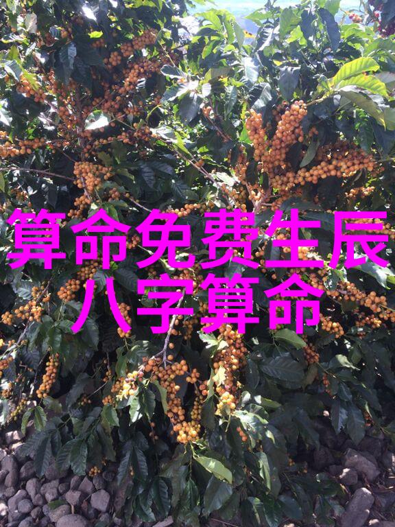 网红雪梨儿子有点傻我都不知道怎么跟你说这件事呢