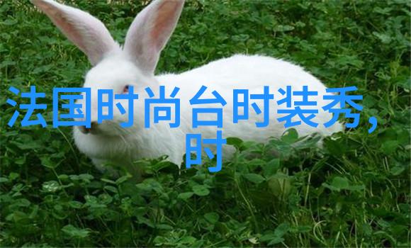 拍摄风景肖像还是运动场面你应该如何选择最佳的写真机设置