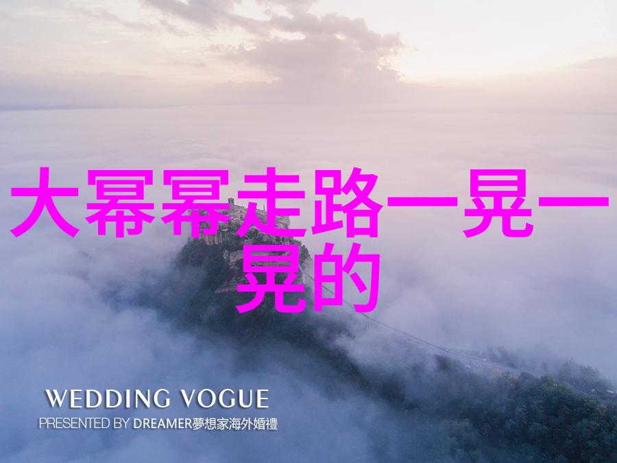 背后的秘密探寻伪装者的世界