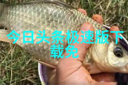 对国际学生来说横店影视职业学院提供了什么样的学习支持服务呢