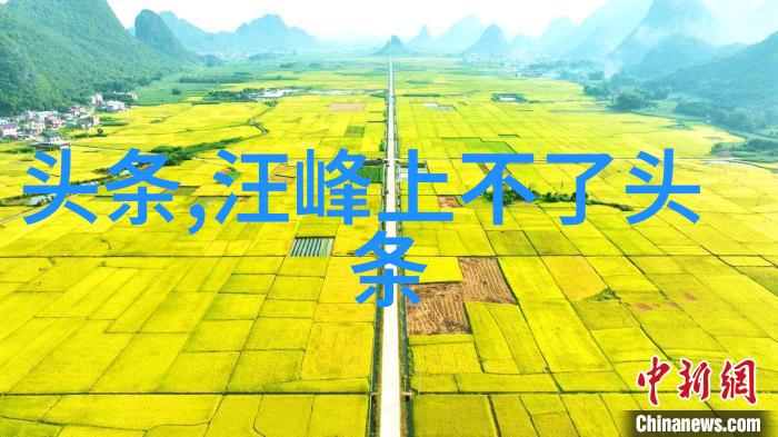 无间追凶的轮回