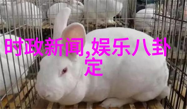 时尚芭莎修杰楷帅气亮相活动分享贾静雯封后心路历程