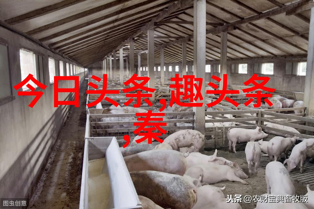 汪峰上头条刘亦城青青子衿完美收官笔墨间勾勒成长之路如同一位才华横溢的画家用色彩绘就了心灵深处的风景