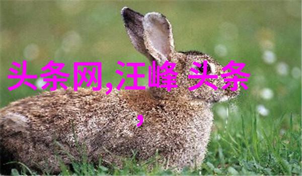 娱乐圈演艺界名星联袂发声支持环境保护行动