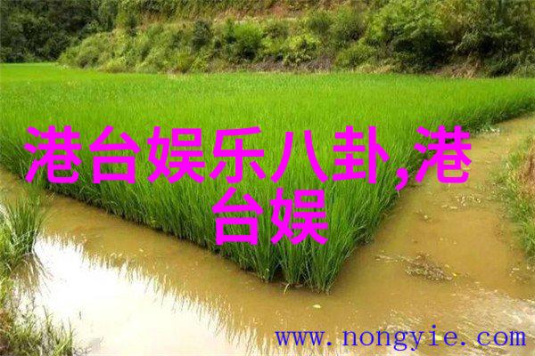 免费音乐狂欢下载专区