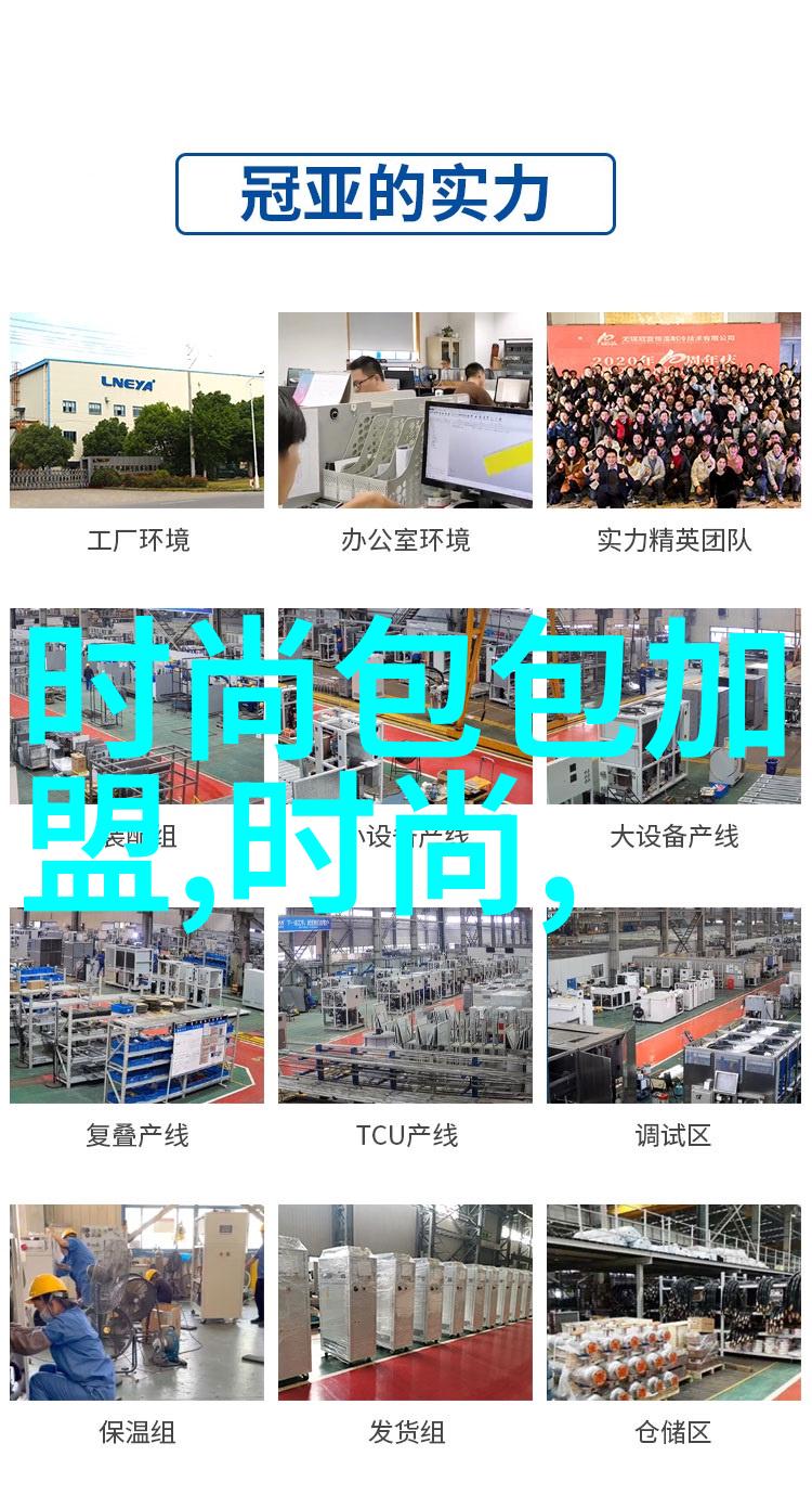 星光熠熠央视综艺的魅力之旅