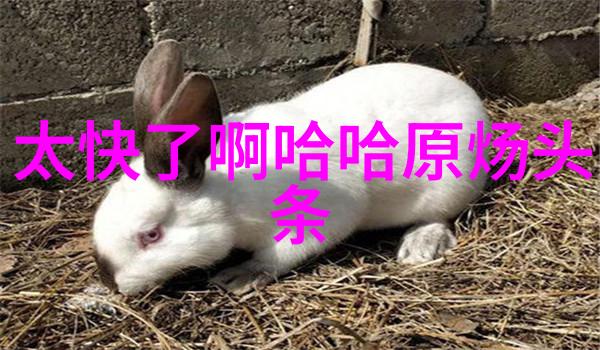 赵丽颖携手冯绍峰现身综艺时代少年团成员惊叹其敬业精神与新戏造型大不同
