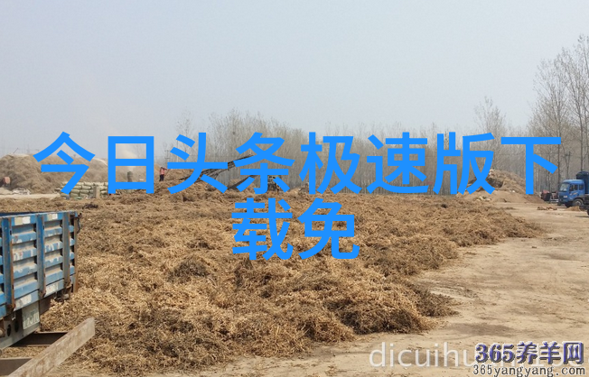 绝命毒师中国版改编成功的关键因素及其对原著影响
