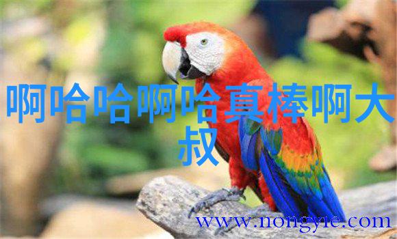 大胆艺术写真探索边界的创意之旅