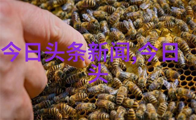 我是谁跨海情深大陆和台湾的复杂关系