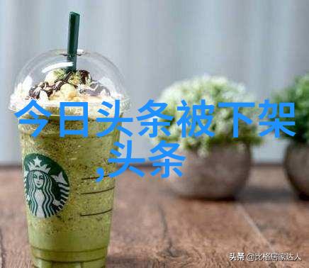 今日头条新闻订阅系统安装指南智能手机版应用程序下载与设置流程