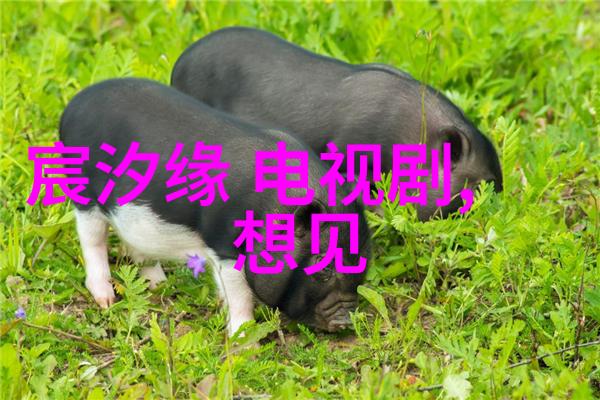 中天之象八卦图秘笈揭秘先天至后天的变化规律