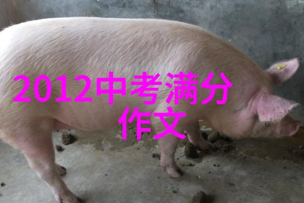 你给我的喜欢电视剧爱情喜剧中的温馨瞬间