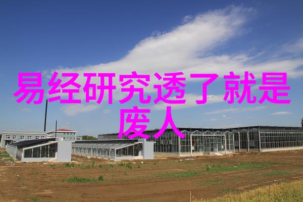 51影视下载探索一款电影爱好者的最佳选择
