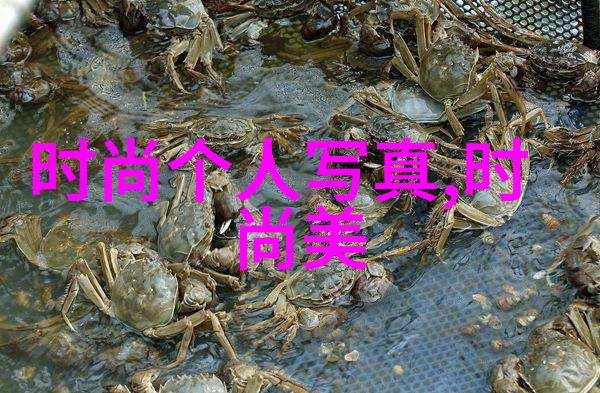 算命真准揭秘古老预言术的神秘与科学