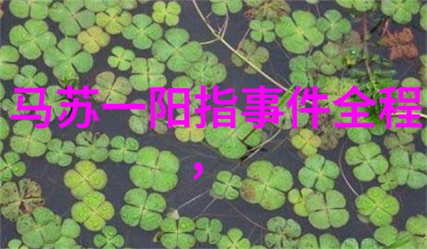 方位八卦逆向解读的秘密图腾