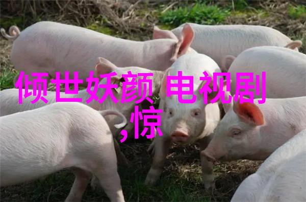 皇家娱乐指南揭秘贵族玩乐的艺术与风尚