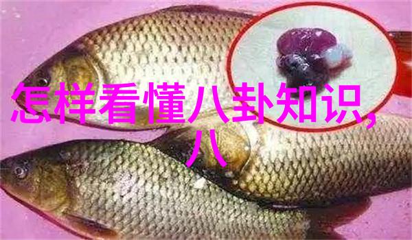 天赋与践行八卦之舞