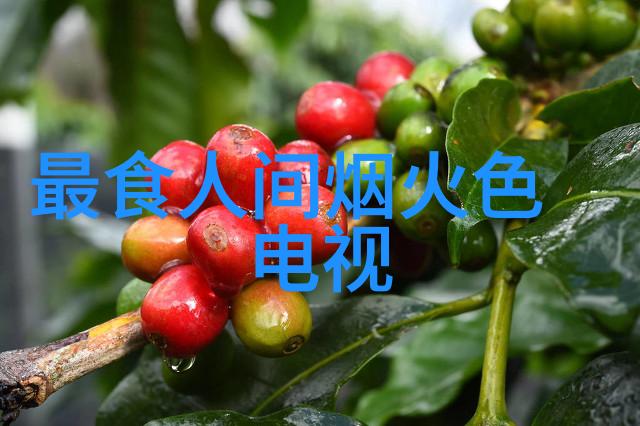 娱乐界的双面人新浪背后的幕后英雄与鲜为人知的星光熠熠