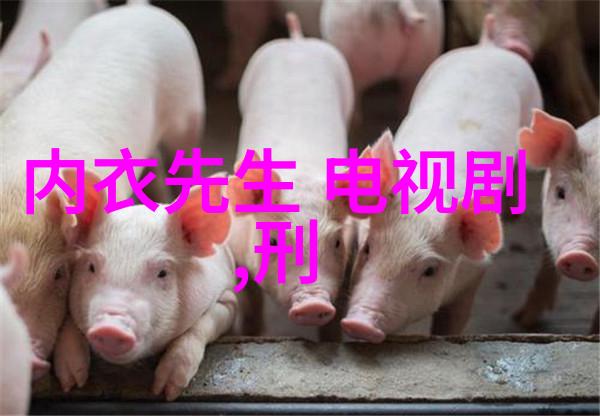 在斗罗大陆的奇幻世界里如何免费观看到完整版高清动漫的神秘之道