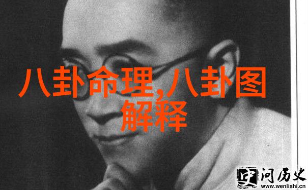 镜像之谜影子的双生子
