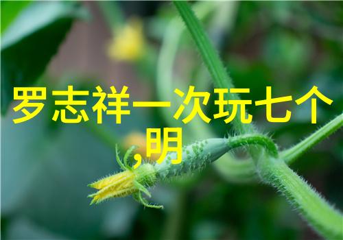 影院里的神马星光与尘埃的交响