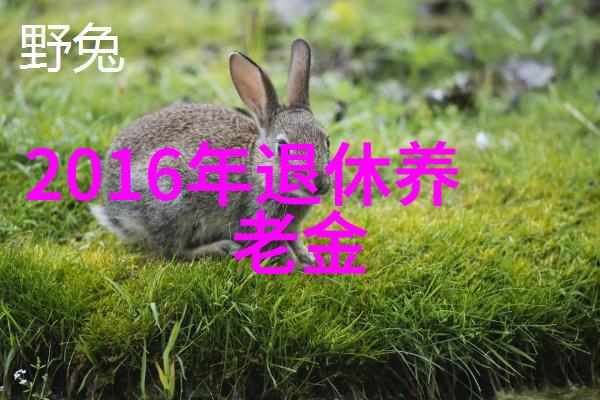 双手舞动的智能生活2手手机1个笑料满载的故事