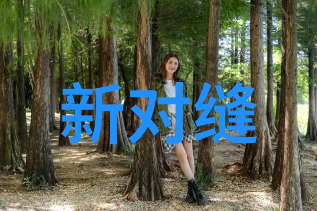 新对缝：一场针线之间的美学革命