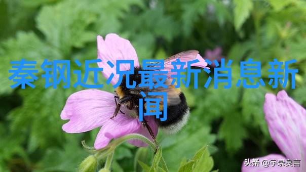 夏日余韵里的你好
