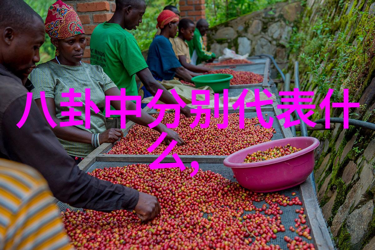 未来的超级大陆人类如何面对新的地理格局