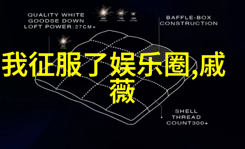 星辰指引八字遁世之谜
