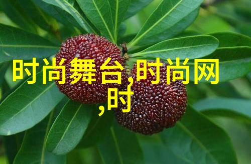现实版人生故事我们如何从失败中汲取经验教训