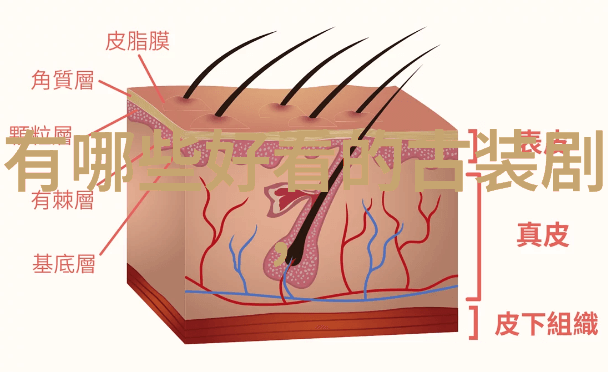 七武士这部电影背后的历史故事又是什么